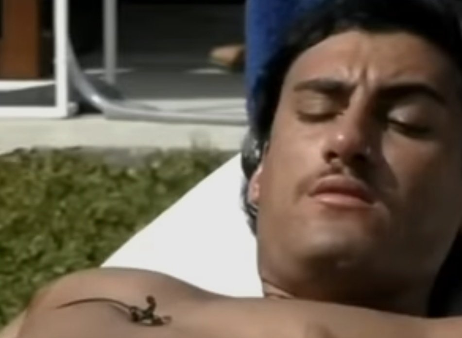 DamiBlancoo's tweet photo. - ay holder, haceme el hoyo
- que había pollo? https://t.co/JhPW7S0aWI