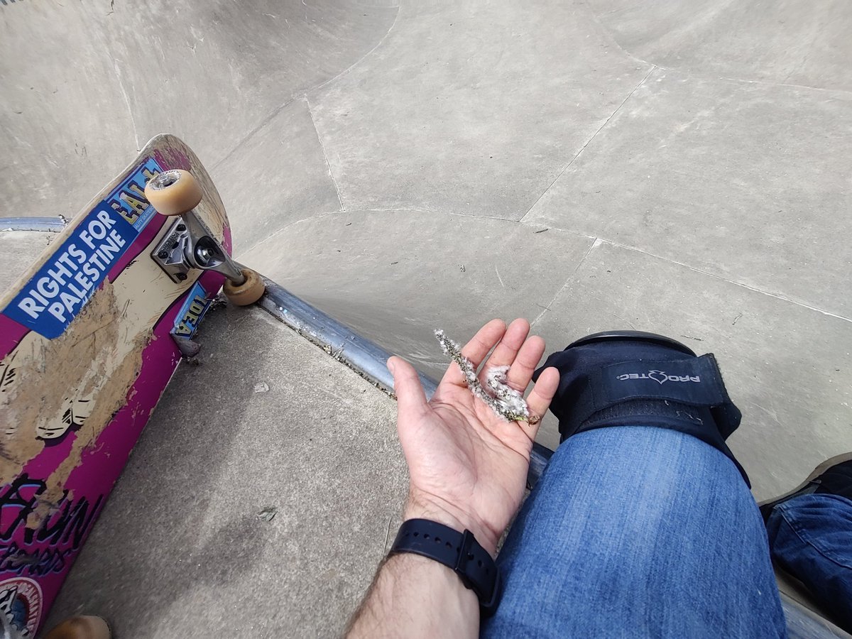Tokyo2019's tweet image. And screw these booby traps. #ouch #thankthelordforpads #protec #skateboarding #oldbones  #concrete