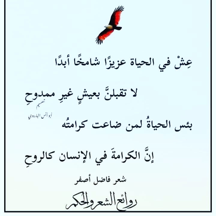 نعمان الكندي (@mr_alkindy) on Twitter photo 