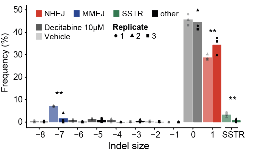 MaxTrauernicht's tweet photo. 7/8 The strongest hit was the DNA methyltransferase inhibitor Decitabine. We found that this drug not only efficiently blocks MMEJ, but also inhibits another resection-dependent repair pathway: single-strand template repair (SSTR). https://t.co/rEuO4gauXM