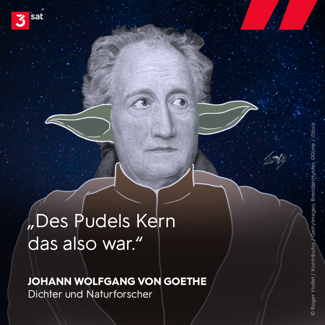 3sat's tweet photo. Und hier noch was Passendes zum #StarWarsDay, natürlich bildungsauftragsgerecht ...

#OnThisDay https://t.co/PW5MBQ2SnE