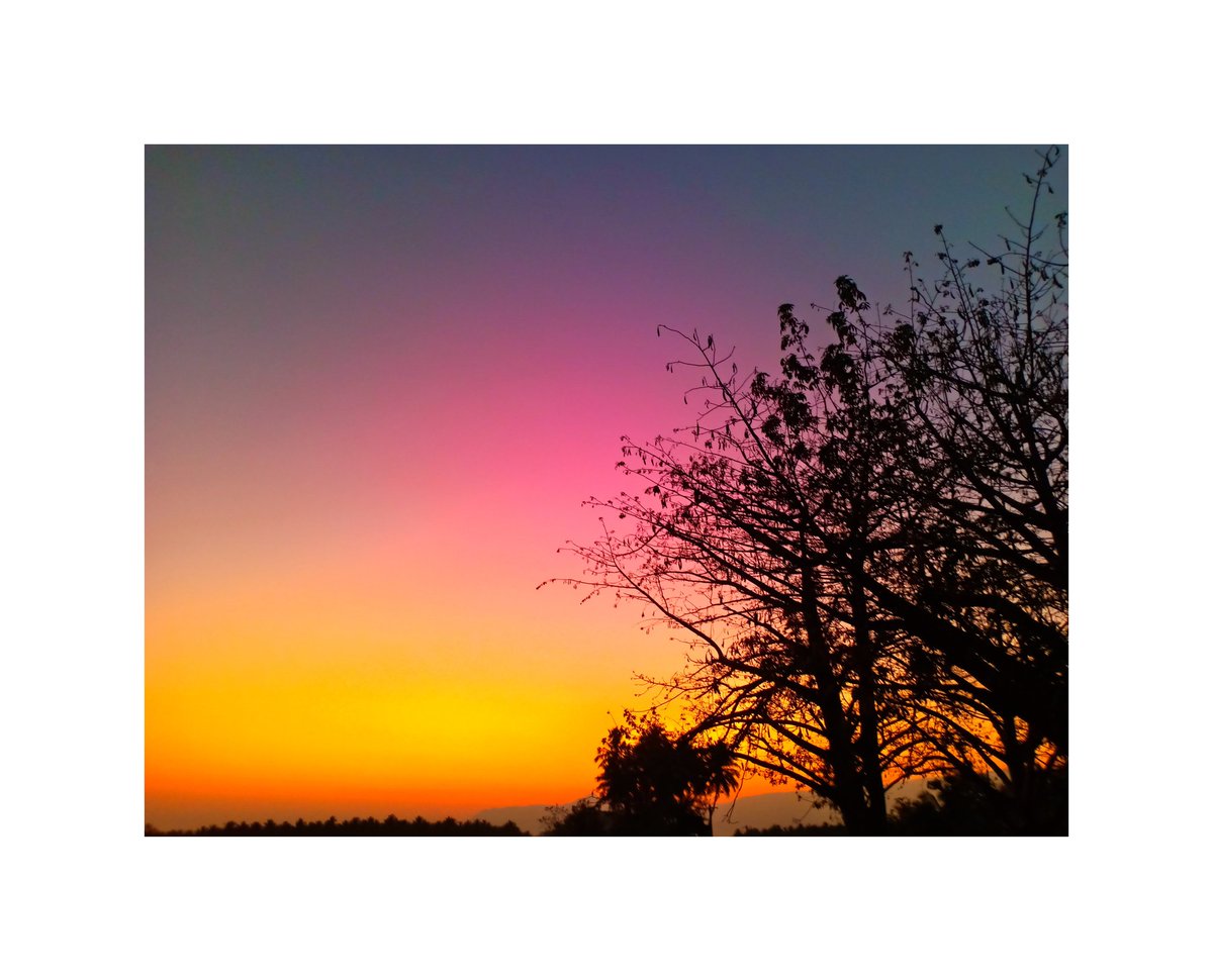 Nagaprabhu1596's tweet photo. குறைத்து மதிப்பிடுவதை இயற்கையாக்கி விடாதே மனிதா
#fieldphotography #sunset #evening
#photography #photooftheday #photoshoot #photo #tamilnadu #villagephotography #theni #mobilephoto #mobilephotography #devadanapatti
#oppof9pro
#Captionone https://t.co/kA3NGVp3Vz