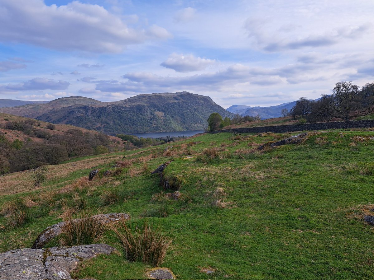 treebleetto's tweet photo. @GuyDorrellEsq Morning 👋 Stiff and achy today after a wander round the top of Aira Force and Gowbarrow yesterday https://t.co/I0jTqUIBH7