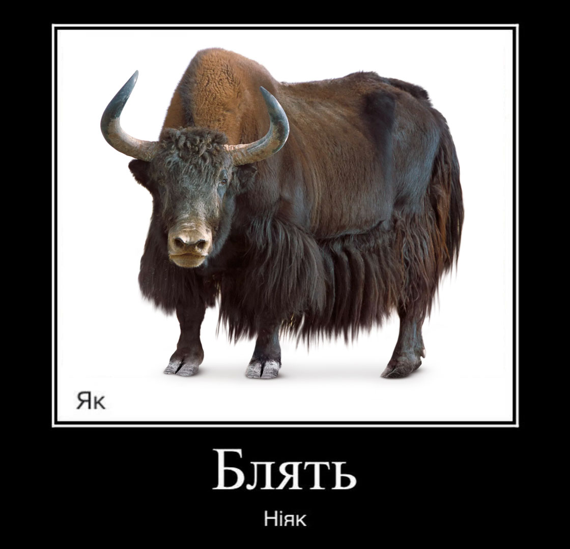 misyats's tweet photo. https://t.co/A9IrtlqRGv