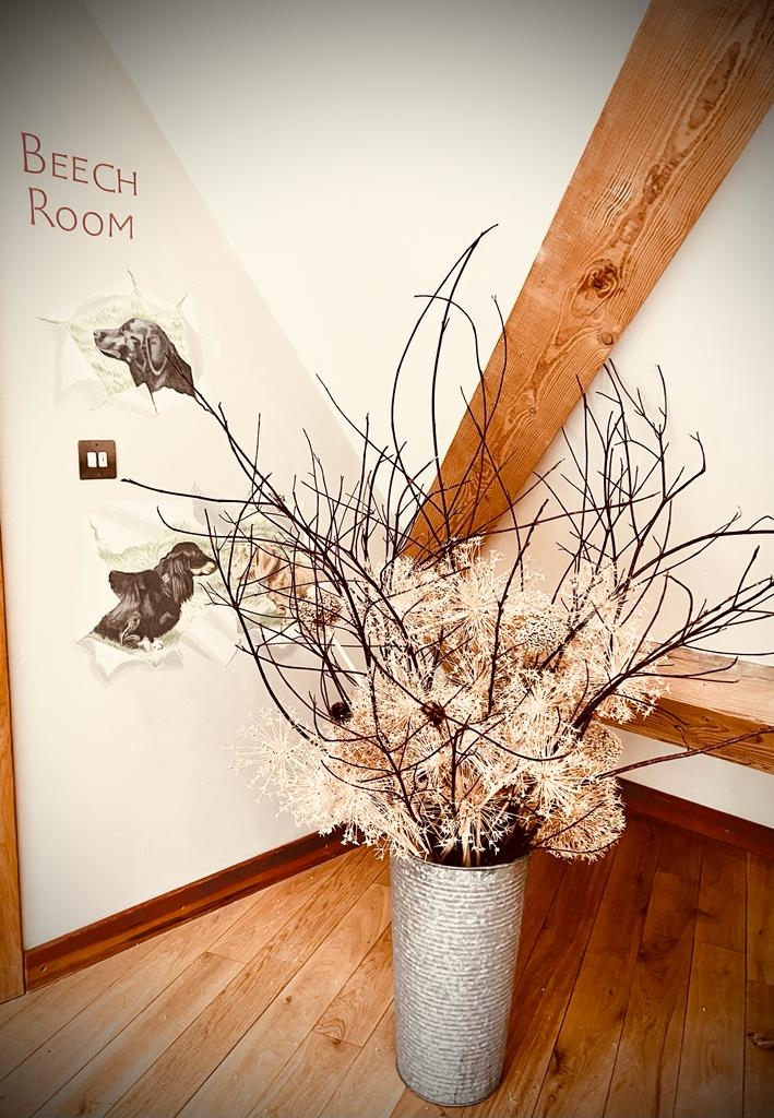 WorkingWellDr's tweet photo. Join us for the next Spring Recharge Retreat for Healthcare Professionals here at Sheepdrove Farm, we'll be here in the Beech Room!

Click the link for info - (https://t.co/jf0ii7UmI1) and ping me a message with any questions 😁

#spring #recharge https://t.co/7cqPupQUsM
