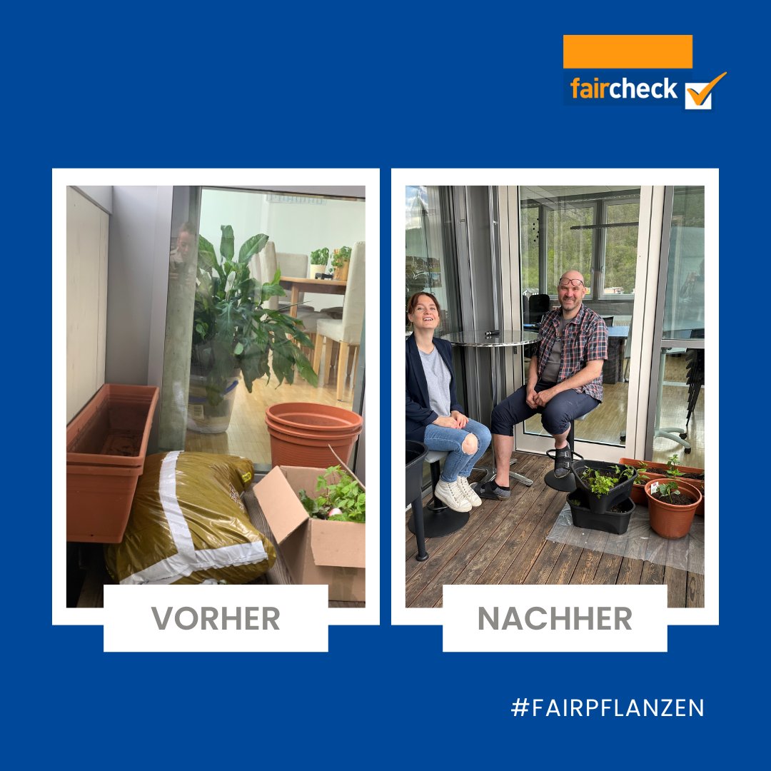 myfaircheck's tweet photo. Es grünt so grün: Neben ökonomischer und sozialer Nachhaltigkeit setzt faircheck auch auf ökologische Nachhaltigkeit. #fairpflanzen #nachhaltigkeit #balkon #urbangardening

https://t.co/kWA2XjurAM https://t.co/OSTkfJiBp6