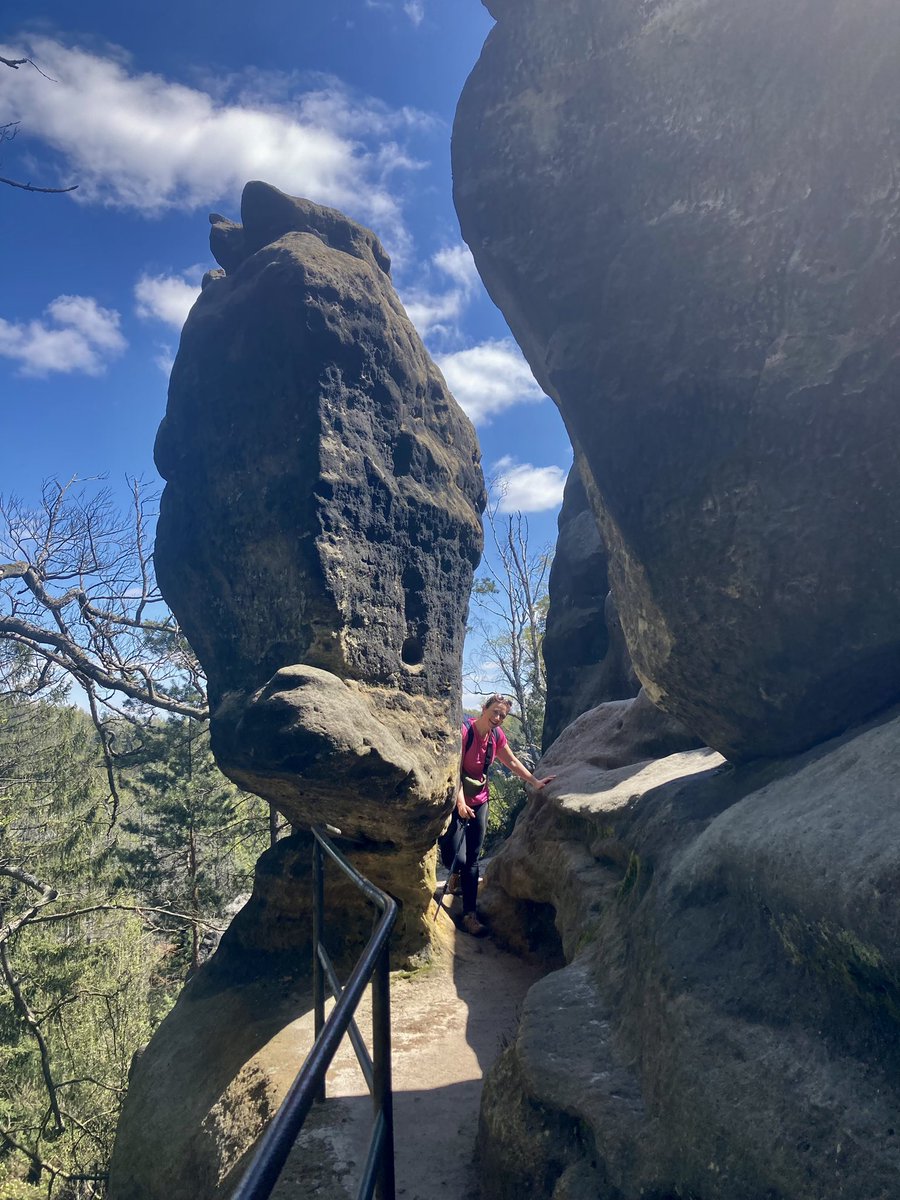 #malerweg day 4. Altendorf to Neumannühle. Ridiculously beautiful stretch of the national park in glorious weather. 18km of steps, ladders and scrambles. #whatamigonnadoaboutmylegs