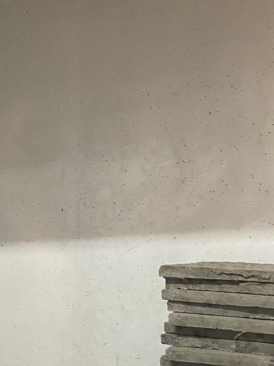 REBECCANORONHA6's tweet photo. @BhaindarMira @MiraroadNEWS 

Our building basement has become the breeding stop for mosquitoes those small dotes are mosquitoes. 
Request you to take some action.

Jk iris, Vinay Nagar, next to jp north garden https://t.co/LJoaLx50iZ