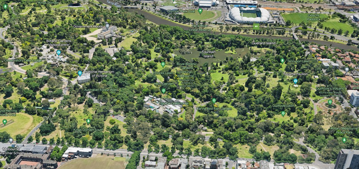 StuartWilliams_'s tweet photo. This is a slowly evolving thread about National Trust (Victoria) listed trees in the 38-hectare Royal Botanic Gardens in Melbourne, founded in 1846.
Aerial view from @googleearth
#RBGMelbourneNTTrees #TrustTrees #TreesofMelbourne https://t.co/1nljcXbGI1
