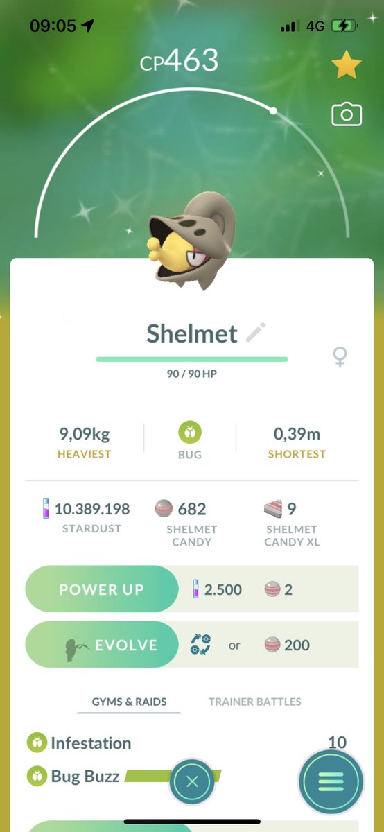Nynke13s's tweet photo. @HermesNinja Hatched this little girl yesterday 🤷🏼‍♀️ https://t.co/TG3tgVKoM6