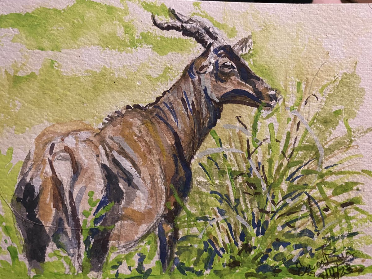 Erica Bey tweet media