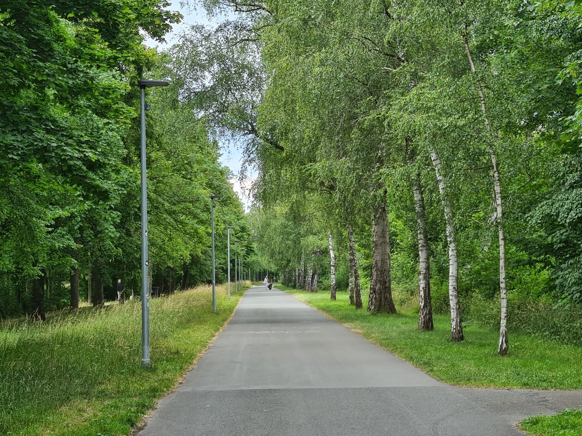 Radfahrende brauchen Licht, Fledermäuse die Dunkelheit – Bedarfsabhängige Beleuchtung für Radwege kann negativen Einfluss künstlichen Lichts auf Fledermäuse reduzieren, fanden Forschende von @IZWberlin und @LeibnizIGB heraus. -> izw-berlin.de/de/pressemitte… @voigtbatlab