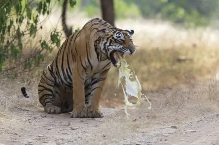 notahollabckboy's tweet photo. @sarahbeth345 The dry pussy energy of that group is craaaaaaaazy https://t.co/bgyukH6s38