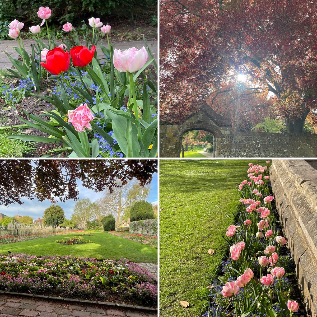… peaceful stroll through Southover Grange on the way to @mayowynnebaxter Lewes office, so pretty 😍🌷☀️