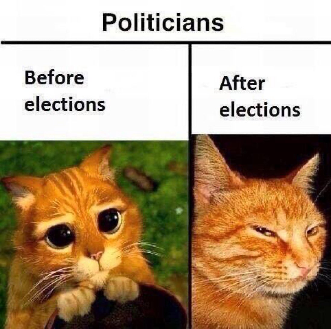 My reminder to the millions of people across England voting in the local elections today…
#LocalElections2023