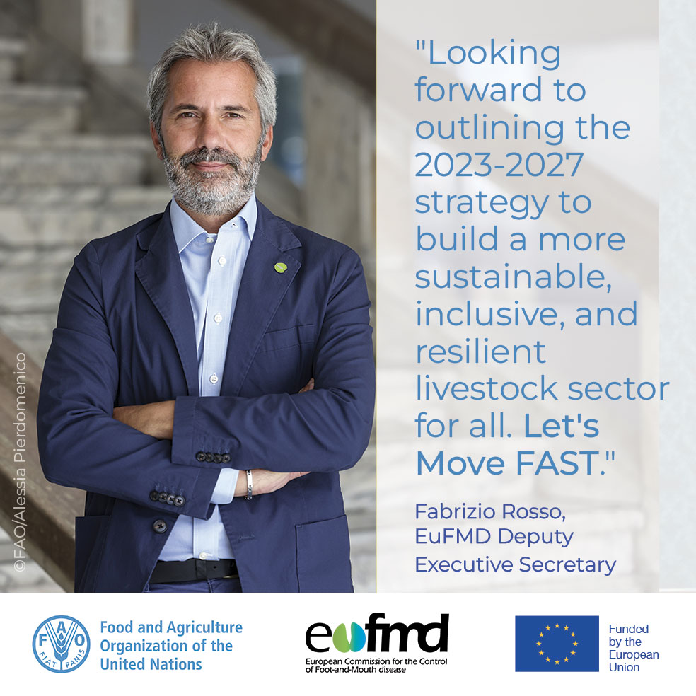 Eufmd's tweet photo. The 45th General Session of #EuFMD is about to start, with the Deputy Executive Secretary welcoming EuFMD Member Nations to @FAO HQ. 

Waiting to share the latest updates on the global #FMD situation and the new strategy to continue our work on #FASTDiseases. https://t.co/qxG9wvEsIe