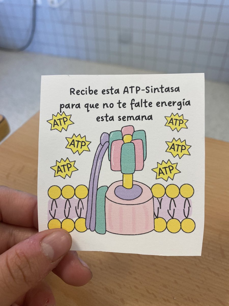 Mapoar1's tweet photo. POV: tienes la mejor profesora de biología del mundo.
Simplemente ✨Karen✨ https://t.co/CJ32OahiPQ