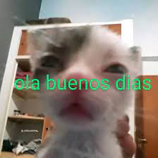 clivi_official's tweet photo. 🤗 ¡Buenoss díass a tod@s! 🤗

Recordad que tenemos activo el sorteo de 10€ Valorant Points y podéis participar hasta mañana 😎 https://t.co/7Iy8ZnAH7q