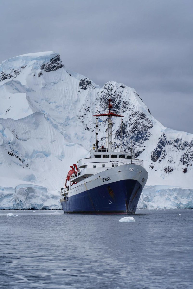 Clara 🌍 LasSandaliasDeUlises tweet media