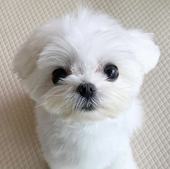 엥.. 내 눈에는 범규가 이렇게 보여요