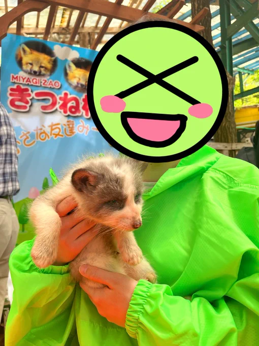 今日は家族と一緒に蔵王キツネ村に行ってきたよー 赤ちゃんキツネの抱っこ体験をしたりキツネに餌やりをしたりとたくさんキツネたちと触れ合えてとても癒されました! あとお土産コーナーにキツネのお面があったので思わず買っちゃいました〜 #みぎったー