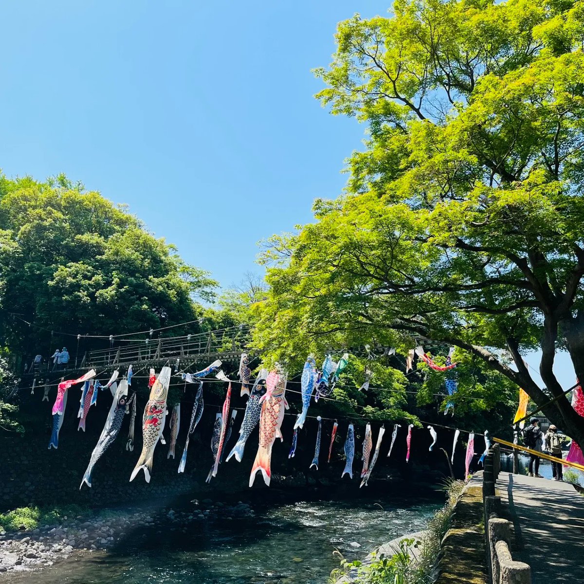 第44回みどりまつり
裾野市中央公園

5/4
10:00~15:00
18:00~21:00　
五竜の滝と
こいのぼりライトアップ
ぜひご来場お待ちしております。
中央公園駐車場のみ
アルコール飲む方は
公共交通を。

5/5
10:00~15:00

#鯉のぼりフェスタ
#滝ライトアップ
#こいのぼりライトアップ
#ライトアップ