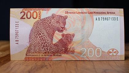 Am_Blujay's tweet photo. "The South African Reserve Bank (SARB) has unveiled the first upgrade to banknotes and coins in over 10 years.Changes include the addition of pictures depicting "Big Five" family scenes, as well as new animals and plants" https://t.co/wSXwthIF6h