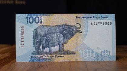 Am_Blujay's tweet photo. "The South African Reserve Bank (SARB) has unveiled the first upgrade to banknotes and coins in over 10 years.Changes include the addition of pictures depicting "Big Five" family scenes, as well as new animals and plants" https://t.co/wSXwthIF6h