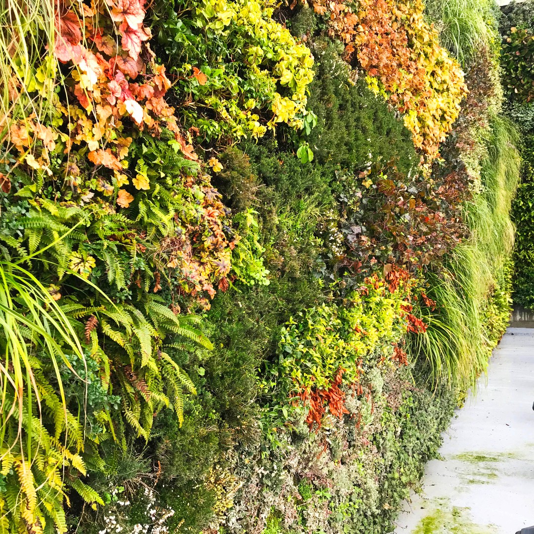 BREEAM Outstanding Retail: <a href="/LSH_Architects/">Lyons+Sleeman+Hoare</a> 3rd phase of Kildare Village in the republic of Ireland achieved <a href="/BRE_BREEAM/">BREEAM Official</a> #Outstanding rating: 31 new retail units &amp; restaurants
Emphasis on #LowEmbodiedCarbon products &amp; minimal waste
#RetailDesign #SustainableDesign #GreenWall