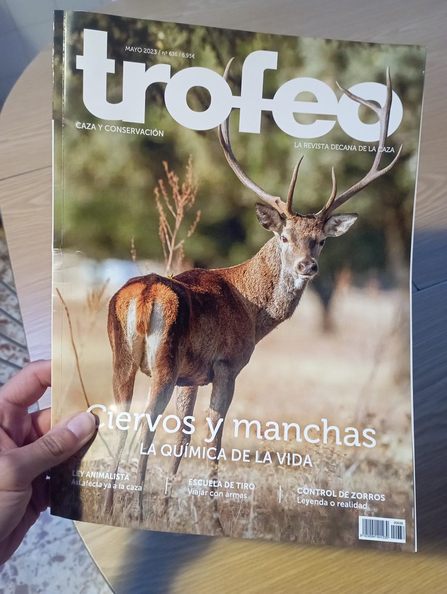 UiRCP's tweet photo. Este mes en @trofeocaza nuestra compañera @evadelapenha en “𝐂𝐢𝐞𝐫𝐯𝐨𝐬 𝐲 𝐦𝐚𝐧𝐜𝐡𝐚𝐬: 𝐋𝐚 𝐪𝐮𝐢́𝐦𝐢𝐜𝐚 𝐝𝐞 𝐥𝐚 𝐯𝐢𝐝𝐚” habla sobre las funciones de la mancha negra de la barriga de los ciervos sus implicaciones en el comportamiento y las aplicaciones en la gestión https://t.co/X5fgMKQSu4