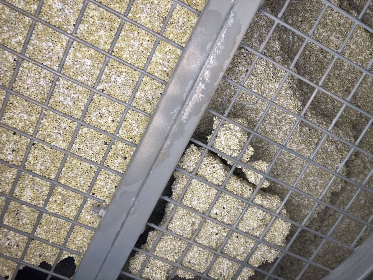 Gavin Howley 🦖 tweet media