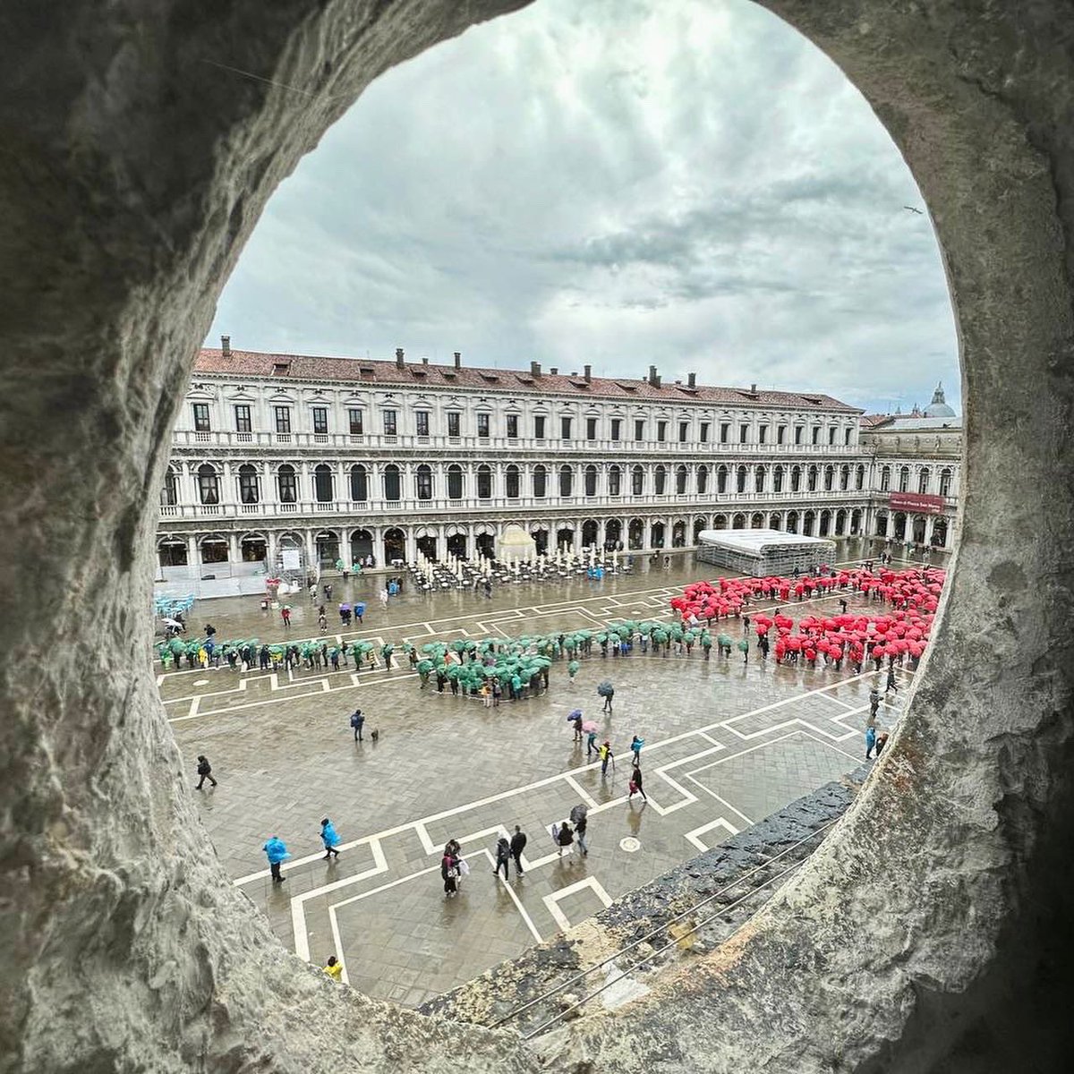 Gm 🌹
#unarosapervenezia #venice <a href="/VeneziaRivelata/">Venezia Rivelata</a>