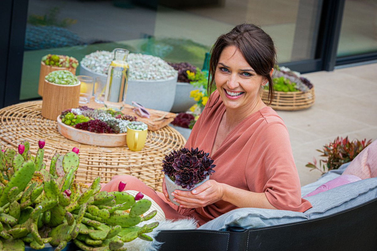 * HAPPY FRIENDS FOREVER *

“Because fabulous fat friends have a long life span, they foster a close bond between man and succulent. In a word, they become ‘Fabulous Fat Friends’.” Love you too …