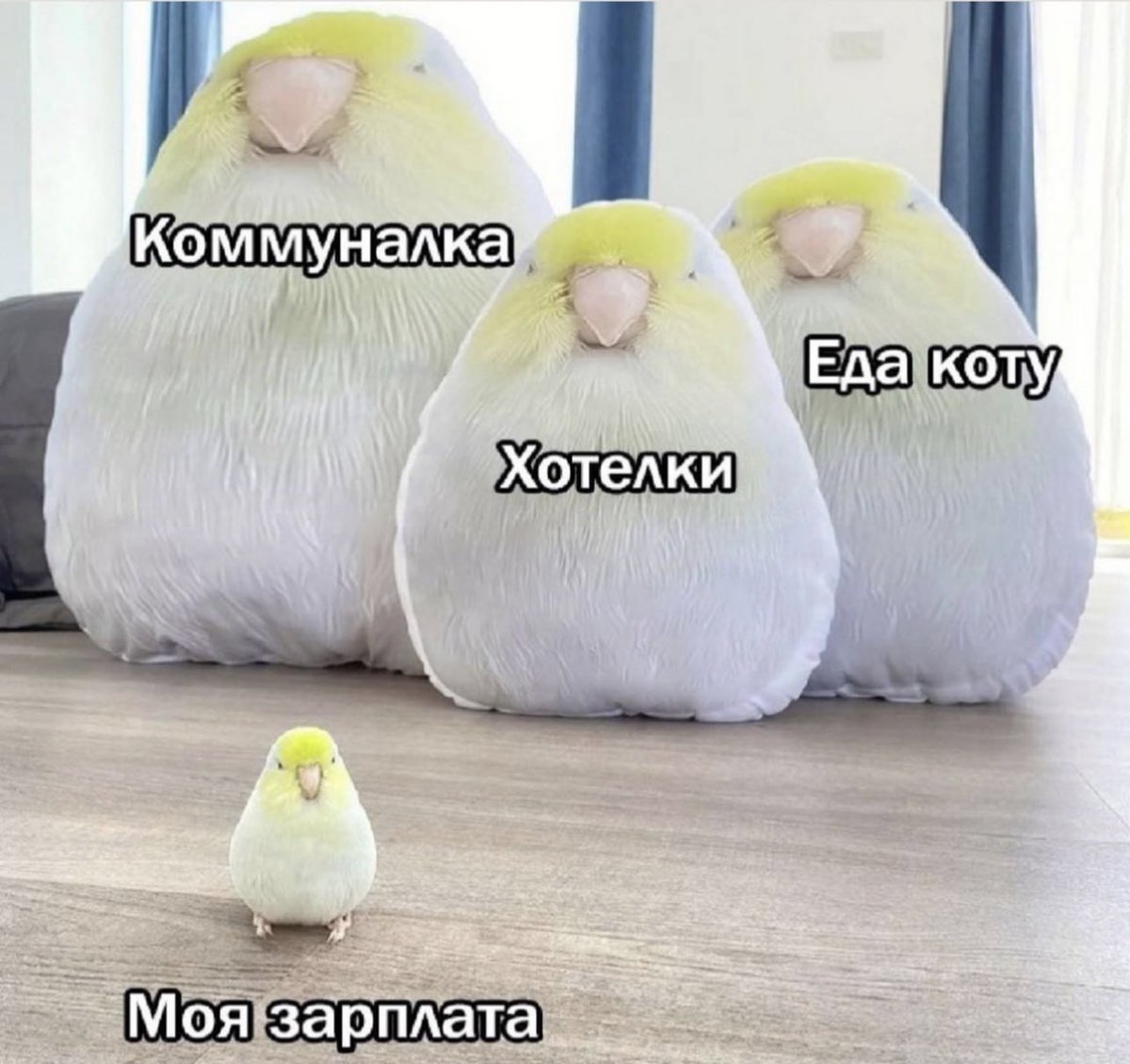 А давайте накидаем мемов, с которых вы недавно просто улыбнулись или сказали «жиза»

Я начну