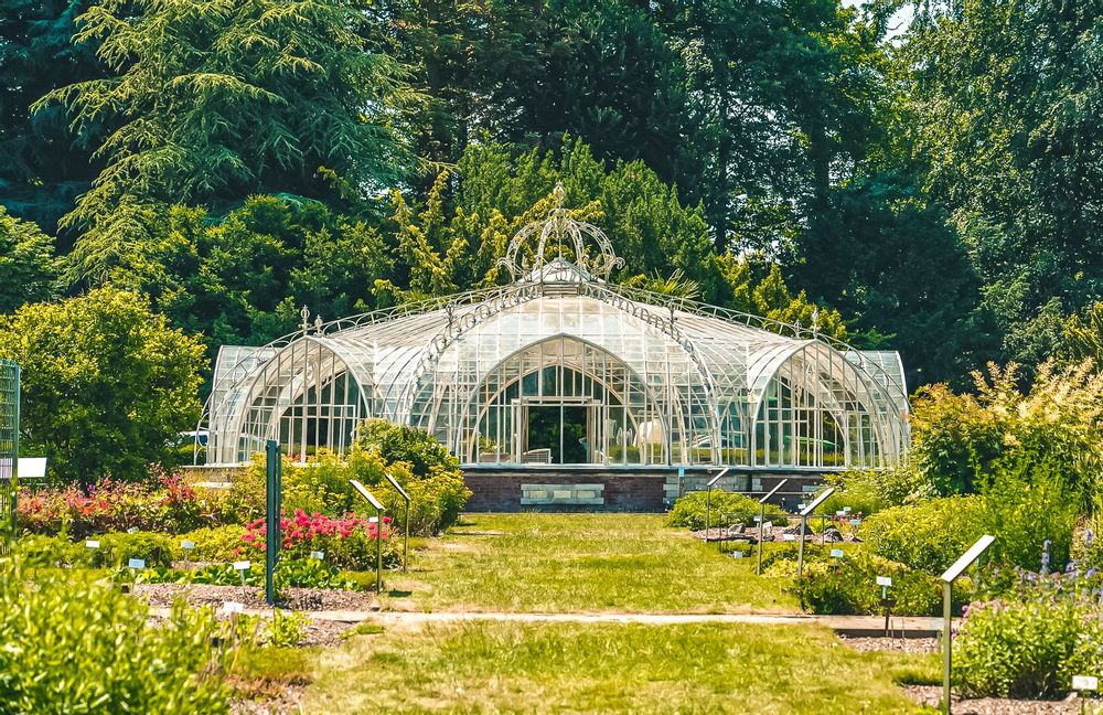 Interested in #biodiversity, #health, #forests and #movement? Thu 11/5 we present the research, discuss implications to policies &amp; invite you to experience the beautiful  @botanicgarden01  &amp; move with hia-tus.org. Last day to sign up is today! forms.office.com/e/jRxP0MbR0b