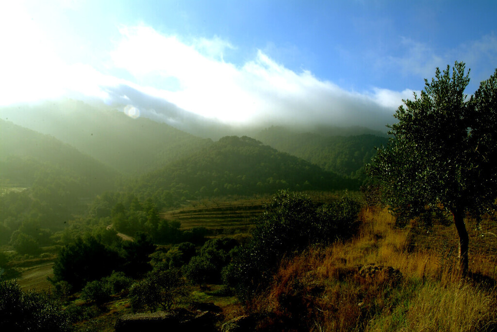 Ràdio Sió Agramunt tweet media