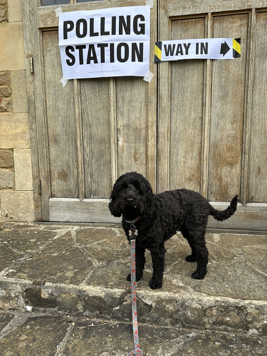 LouiseRussell14's tweet photo. #dogsatpollingstations  Mabel forgot her photo ID! https://t.co/H4FoPknDeq
