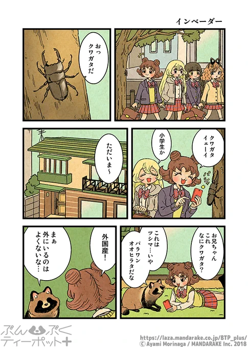 【5/4更新】「ぶんぶくティーポット+」(作:森長あやみ@morinaga_ayami)  《1/2》「インベーダー」《1》～《4》 laza.mandarake.co.jp/BTP_plu… #BTP_plus #ぶんぶく #漫画 #タヌキ #たぬき #森長あやみ #ぶんぶくティーポット
