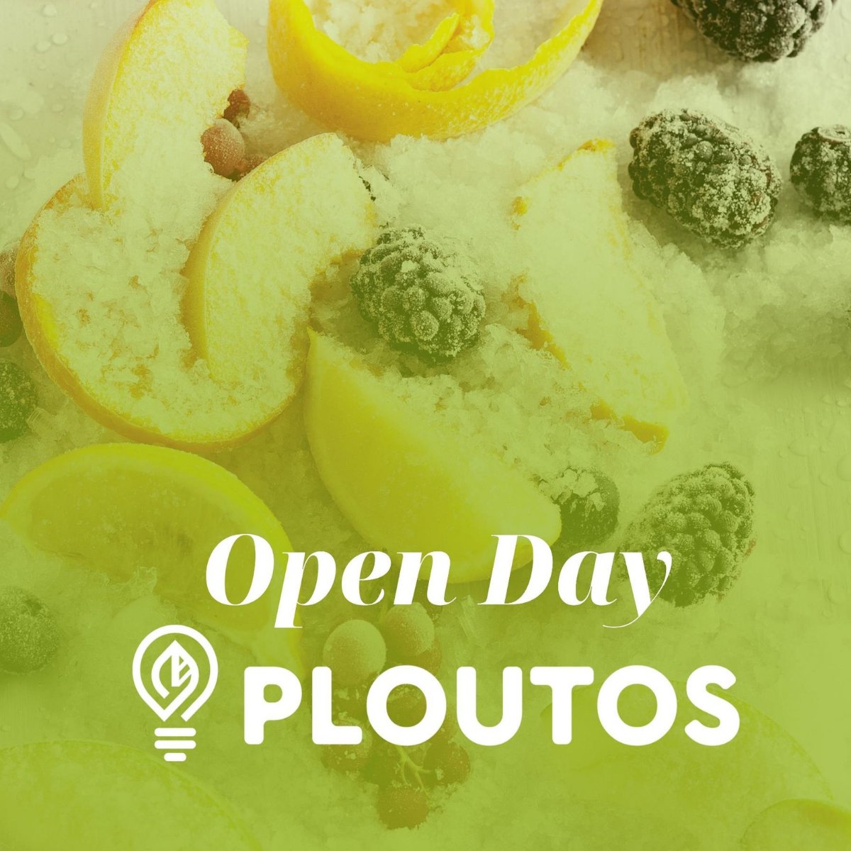 ploutos_h2020's tweet photo. 🚀@ploutos_h2020 is organising the 2nd series of Open Days, with the first taking place at Mandalo Pellas for SIP 1

This means showcasing #smartfarming technologies used in the pilot &amp; raising #awareness around the need to apply digital tools, in alignment with the new CAP. https://t.co/Dg7V4sQbD4