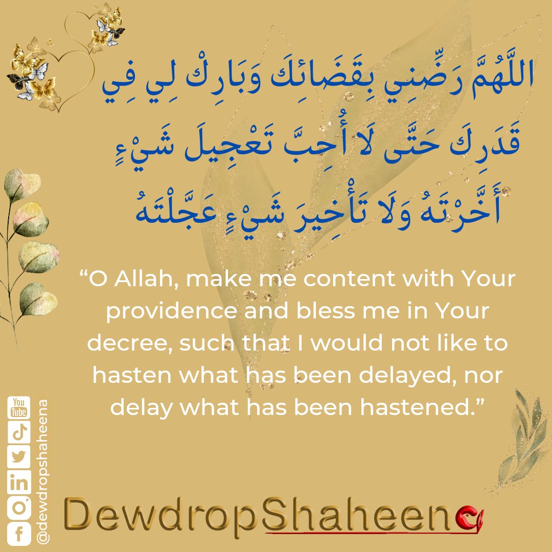 Dewdrop Shaheena (@dewdropshaheena) on Twitter photo 