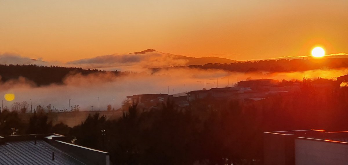 Arabella (me/mine)🎗 tweet media