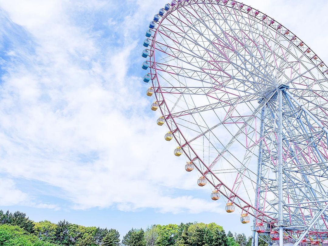 #葛西臨海公園
#観覧車
#青空
#東京観光
#はなまっぷ
#キタムラ写真投稿
#東京カメラ部
#ゆるふわphoto部
#kokohana
#tv_flowers
#wp_flower
#ojo_flowers
#team_jp_flower
#whim_fluffy
#meiko_toall
#meiko_softflowers
#best_moments_flora
#abs_softflowers
#fav_flowers_
#mst_flora