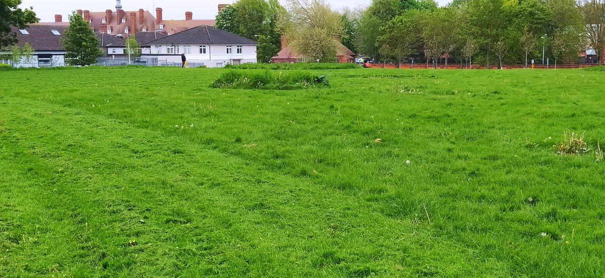 YeyesShamrock's tweet photo. @BlaneyCarola @DCCParksBiodiv @DubCityCouncil @PollinatorPlan They are mowing #dunard Pk in #Cabra right now🙄 Thank god, though, somebody could have been hurt with all that growth... https://t.co/Dzc2BdJ84v