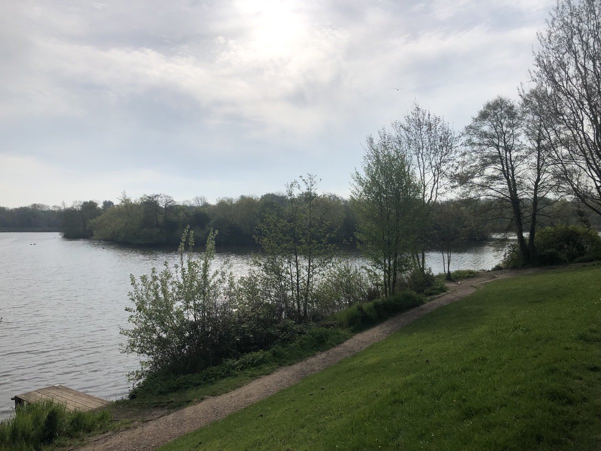 Mitchofworcs's tweet photo. Beautiful morning for an early walk https://t.co/cNteho4yAo