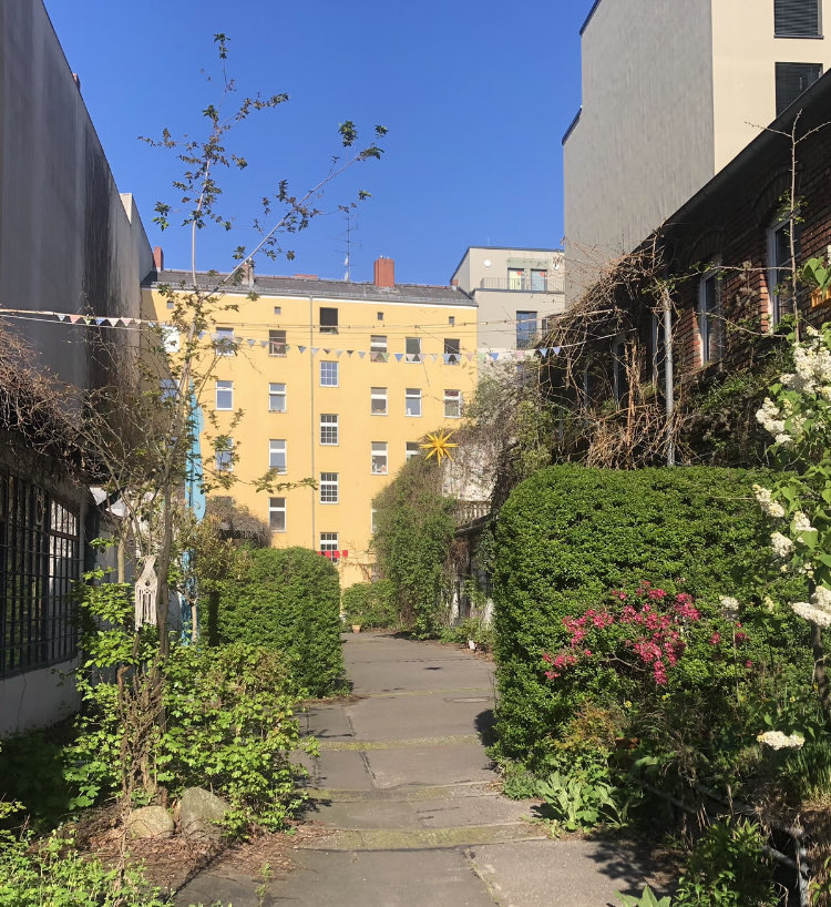 #Kolonie10 30Jahre nach der Begrünung. So geht Stadtbegrünung🌿🌳🪴

CAMPUS VIVA 😳 will nun die historischen Bauten samt Bepflanzung abreißen, um Mikroapartments zu bauen für 40€/qm Miete🤑
<a href="/BA_Mitte_Berlin/">Bezirksamt Mitte</a> Stadtplanung will den Abriss genehmigen
Stadtentwicklung adé