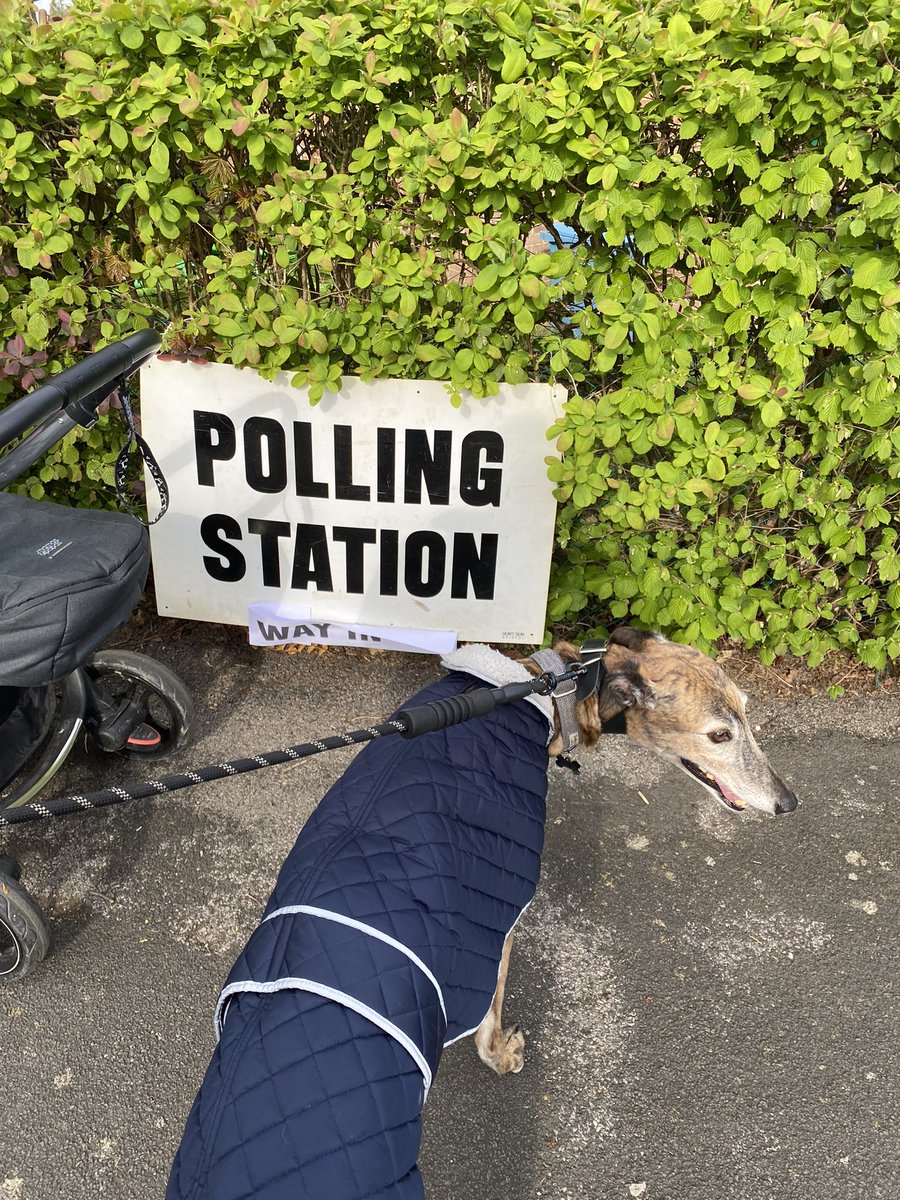 Have been a bit absent on twitter mainly due to the little one out of view on the left there, but did my civic duty today and also had Keith our rescue greyhound representing for #DogsatPollingStations