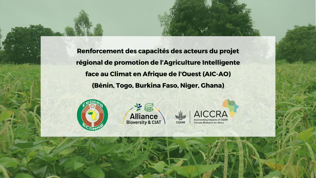 CGIARAfrica's tweet photo. First Benin, now #Niger! 🇳🇪 @ecowas_agric, @BiovIntCIAT_eng & AICCRA are building technical knowledge and skills in support of the #ECOWAP Intervention Framework for climate-smart agriculture.
More about this training partnership: https://t.co/b0BfiPBCvI
#WestAfrica #Adaptation https://t.co/iv5FHQ58hJ