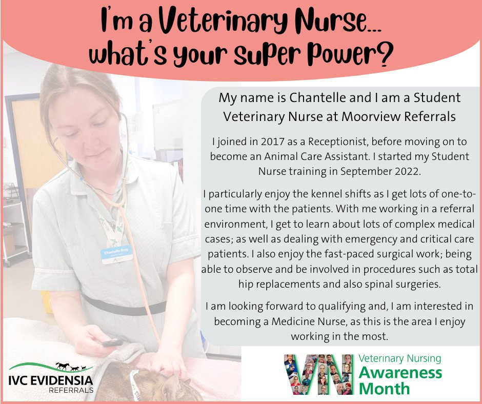 I'm a Veterinary Nurse...what's your super power? Meet Chantelle, one of our amazing Student Veterinary Nurses. She is based at Moorview Referrals. #VNAM2023 #WhatVetNursesDo #VeterinaryCareers #MoorviewReferrals #IVCEvidensiaReferrals