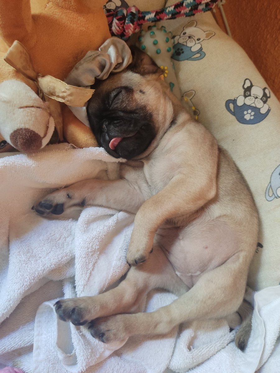 Que ternura🥺