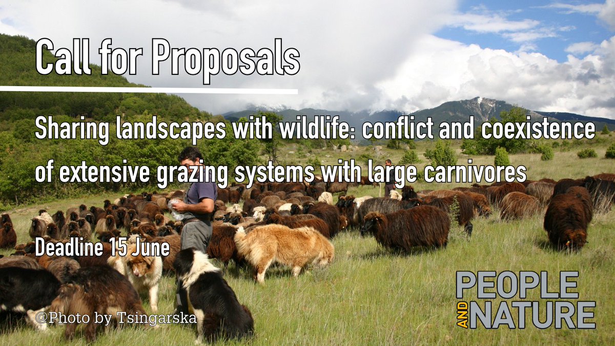 How to move from conflict to coexistence between carnivores & #HighNatureValue farming? We are inviting contributions on 'Sharing landscapes with wildlife: conflict & coexistence of extensive grazing systems with large carnivores' in @PaN_BES. Details: besjournals.onlinelibrary.wiley.com/page/journal/2…